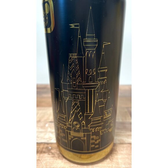 Disney Magic Castle Water Bottle Wide Mouth Stainless Steel Insulated Tumbler Lg - Picture 2 of 8